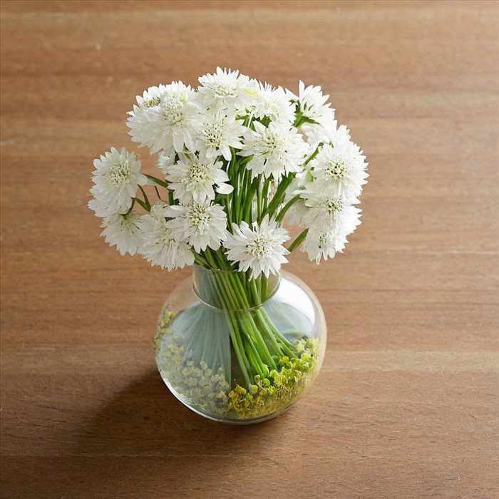 Idées Créatives pour Utiliser le Chou-Fleur Autrement
