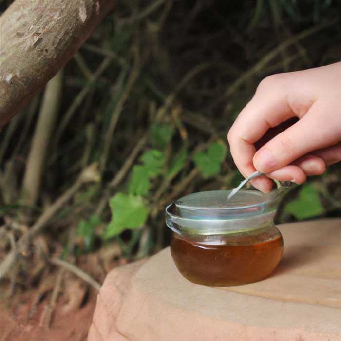 Miel sur Plaie : Guide d'Application et Soins