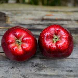 SandrineP, un nutritionniste à Uzès